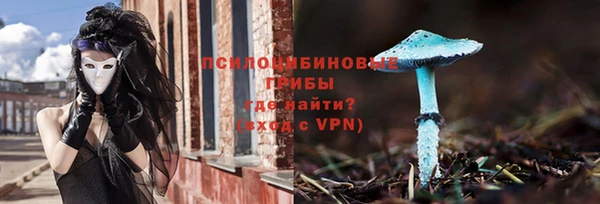 гашик Аркадак
