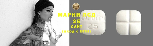 гашик Аркадак