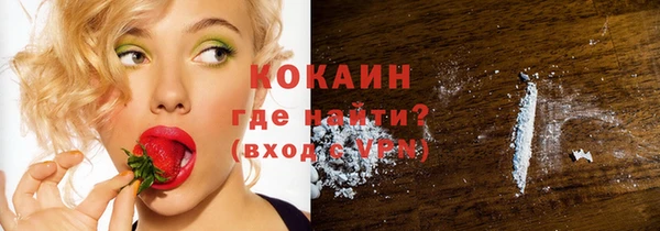 гашик Аркадак
