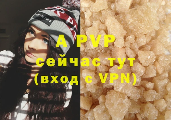 гашик Аркадак