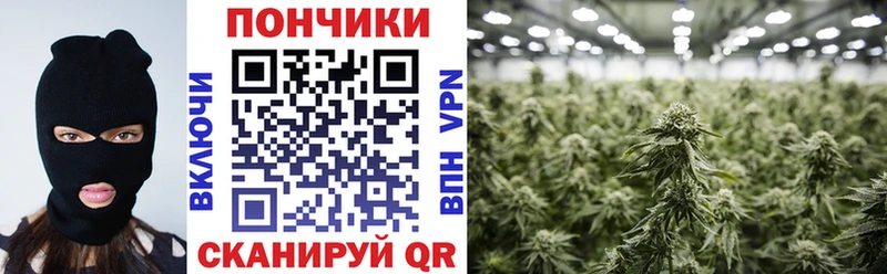 omg как зайти  shop телеграм  Бошки Шишки марихуана  Порхов 